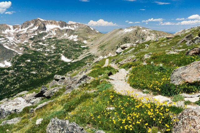 bigstock-Mountain-Hiking-Trail-Through--39886228